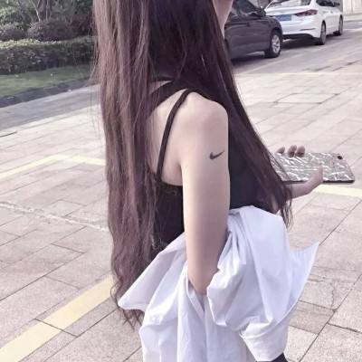 雪鹰领主手游私服下载